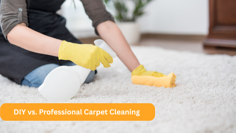 Carpet Cleaning in Faridabad | Professional & Affordable Services
